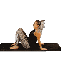 S-Hertogenbosch Dance Sticker by KnipperZ HairCare For You