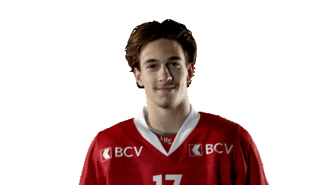Lhc Lausannehc Sticker by Lausanne Hockey Club