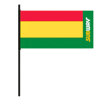 football futbol Sticker by Subway Colombia
