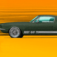 Ford Racing GIF by kneapolitan