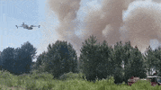 Climate Change Wildfires GIF by GIPHY News