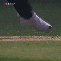 Eagle Pads GIF