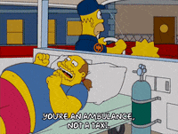 homer simpson episode 10 GIF