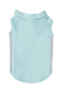 Dogs 강아지 Sticker by arrr_official