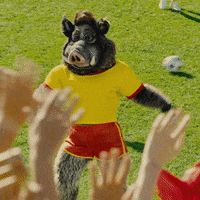 Happy Sport GIF by BILLA
