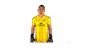 Liga Nos Joel Sticker by CD Tondela