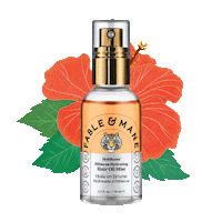 Beauty Hair Sticker by Fable & Mane