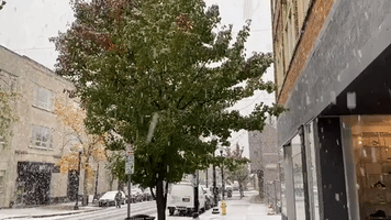 'Fluffy' Snowflakes Seen in Upstate New York