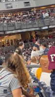 Fans Fight in the Stands of Yankee Stadium 