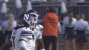 Northwestern Football Wildcats GIF by Northwestern Athletics