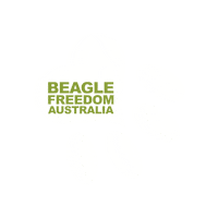 BeagleFreedomAustralia love cat heart dog Sticker