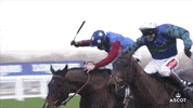 Horse Racing GIF by Ascot Racecourse