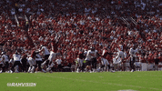 Rams Football Csurams GIF by Colorado State Rams