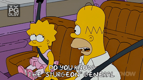 Lisa Simpson GIF by The Simpsons