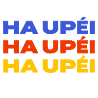 melissaduarte4470 paraguay guaraní meli diseño pegatina guaraní Sticker