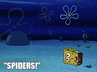 rock spongebob spider patrick spiders GIF
