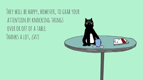 cats lol GIF by Digg
