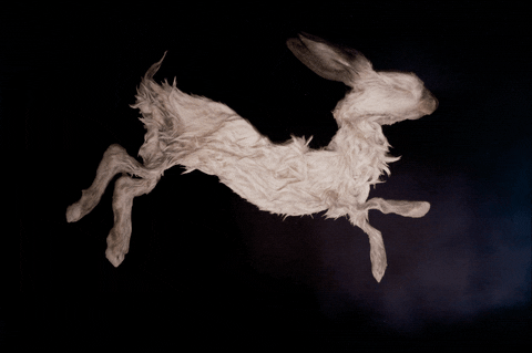 Art Animation GIF by erica shires