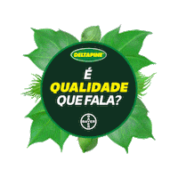 Semente Algodao Sticker by Bollgard