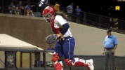 usssapride softball fastpitch usssa npf GIF