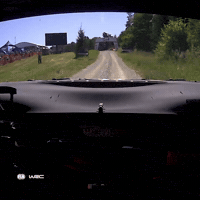 Estonia Driving GIF by FIA World Rally Championship