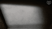 Film Festival GIF by Atlanta Jewish Film Festival