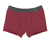 12pm_underwear rainbow colorful colors flash Sticker