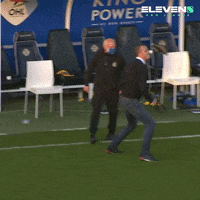 Celebration Coach GIF by ElevenSportsBE