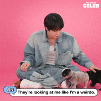 K Pop Puppy GIF by BuzzFeed
