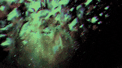 Art Installation GIF by Mollie_serena