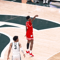 Happy College Sports GIF by Wisconsin Badgers