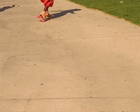 Shadow Rollerskate GIF by Just Seconds