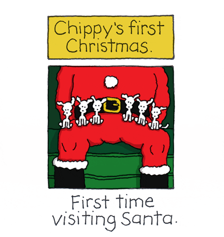 merry christmas GIF by Chippy the Dog