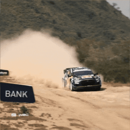 Ford Motorsport GIF by FIA World Rally Championship