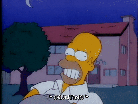 Season 1 Episode 3 GIF by The Simpsons