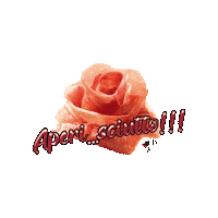 Ham Aperitivo Sticker by DONJAMON19