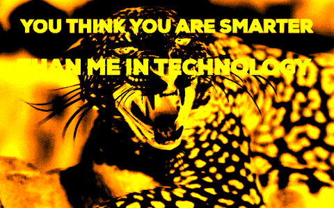 shawnfff giphygifmaker giphygifmakermobile GIF