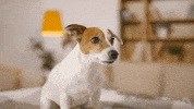 GIF by Hey Holy