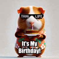 Guinea Pig Birthday GIF by Guinea Gambino