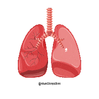 medbreaker lunge biologie medizinstudium medat Sticker