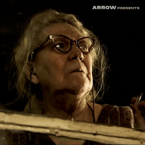 Texas Chainsaw Massacre Film GIF by Arrow Video