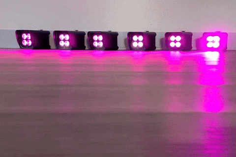 Close Up Walking GIF by Crissy Conner