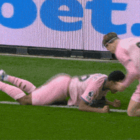 Happy Premier League GIF by AFC Bournemouth