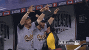 oak GIF by MLB