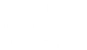 Chiche Flyfish Sticker