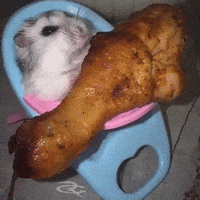 Chicken Wing GIF by Respective
