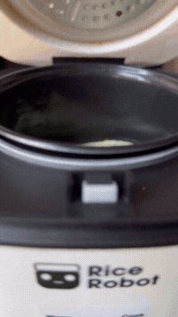Baked Brie In A Rice Cooker | Rice Robot