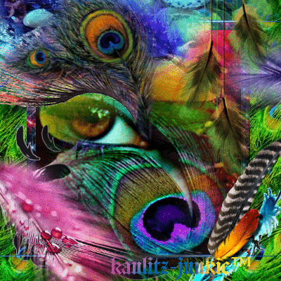 feathers GIF