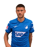 Andrej Kramaric Sport Sticker by TSG Hoffenheim