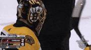 ice hockey hug GIF by NHL